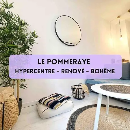 Le Pommeraye Nantes Esterno foto